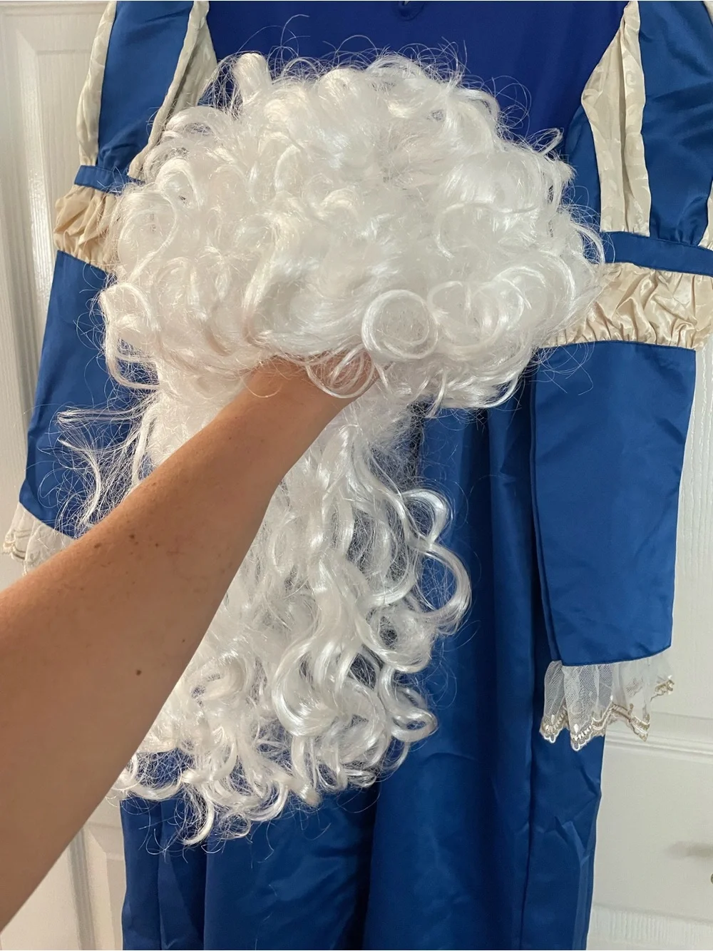 Medieval Dress/ Marie Antoinette costume (girls) dress with wig